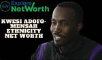 Kwesi Adofo-Mensah Ethnicity Net Worth, Biography, Wiki, Career, Age, Parents, Wife, Photos or More