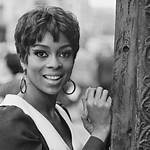 Lola Falana’s Net Worth, Biography, Career, Awards, Fact and Life Story
