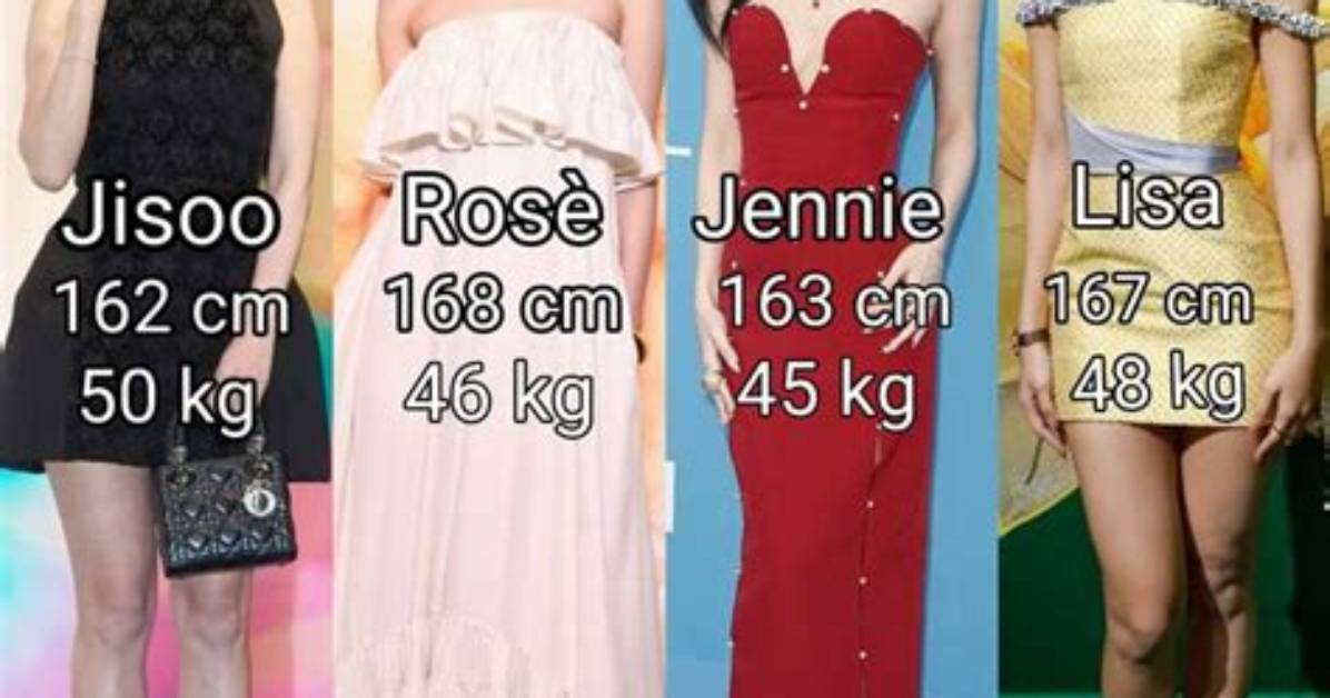 M%C3%A5Neskin Members Height How Tall Are M%C3%A5Neskin 150. Jpg