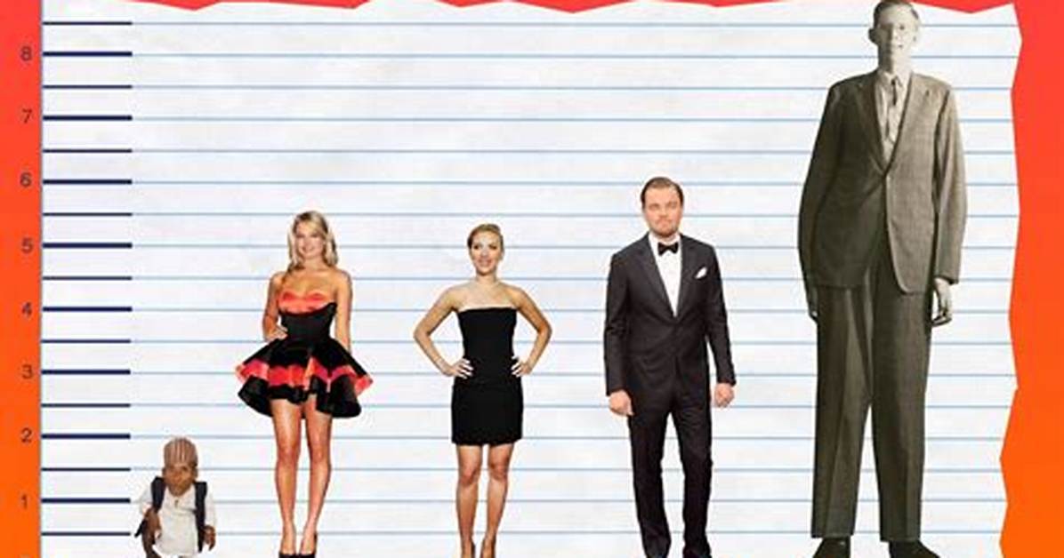 Margot Robbie Height, Age & Measurements – How Tall Is Margot Robbie?