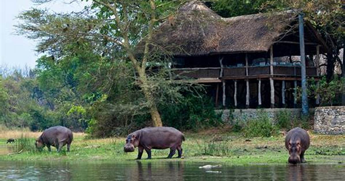 Mawila Lodge and Camp, Liwonde, Malawi