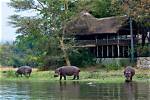 Mawila Lodge and Camp, Liwonde, Malawi