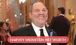 Max Jansen Weinstein Net Worth, Income, Salary, Earnings, Biography