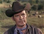 Peter Breck Net Worth, Income, Salary, Earnings, Biography