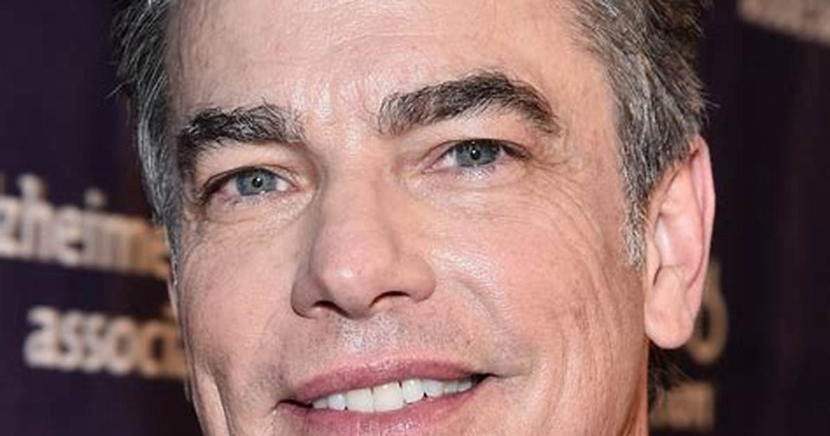 Peter Gallagher’s Net Worth, Biography, Career, Awards, Fact and Life Story