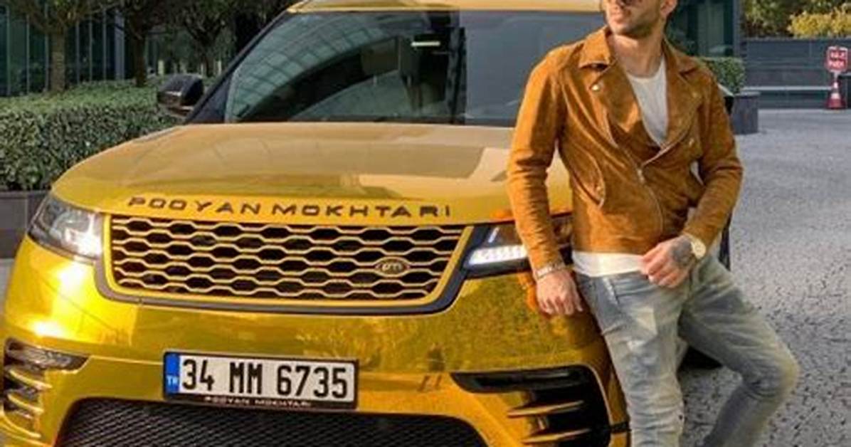 Pooyan Mokhtari’s Biography, Net Worth, Fact, Career, Awards and Life Story