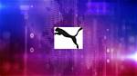 Puma Net Worth