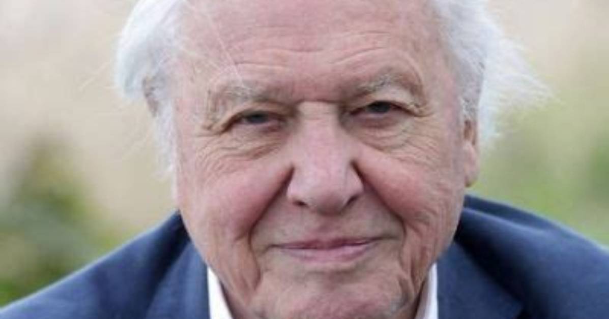 Robert Attenborough: Wiki, Bio, Age, Height, Wife, Facts
