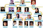 Salman Khan Siblings: How Many Children Does Salman Khan Have? Who Are Salman Khan Siblings?