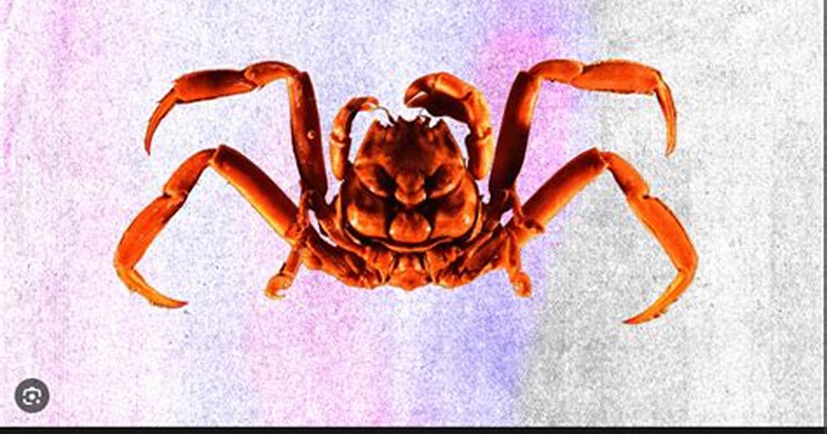 Samurai Crab Video on Reddit, Amazing Fact: the Crab with a Human Face