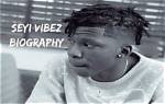 Seyi Vibez Biography: Age, Car, Record Label & Net Worth
