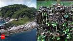 Snake Island in Brazil: 7 Facts You Need to Know