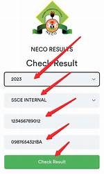 Steps on How to Check Neco Result Without a Scratch Card