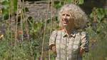Sue Kent Wikipedia: Everything to Know About the Gardener