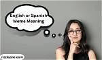 Tacolgando Meme Meaning in English: What Does It Mean on Tiktok and Urban Dictionary?