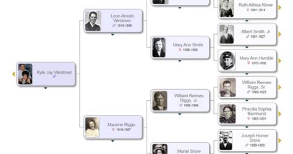 Tara Westover Family Tree and Photos; Is Tara Westover Married?