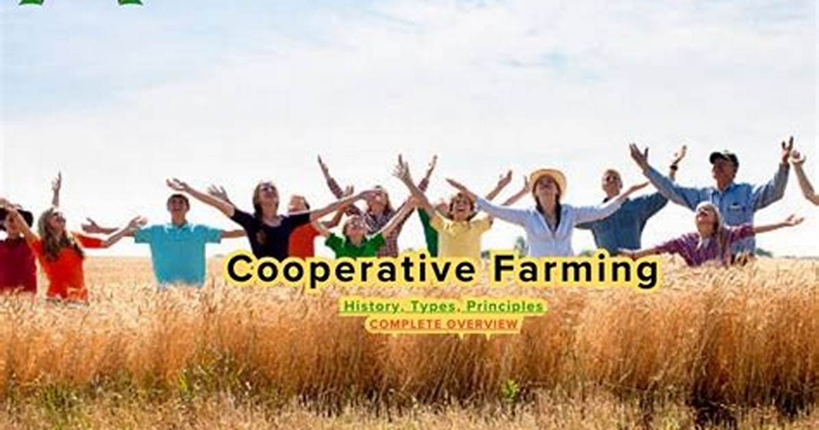 The Impact of Cooperative Farming Societies in the Development of Agriculture