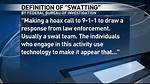 Tim Pool Swatting Meaning – Urban Dictionary and Definition, Tweet Explained
