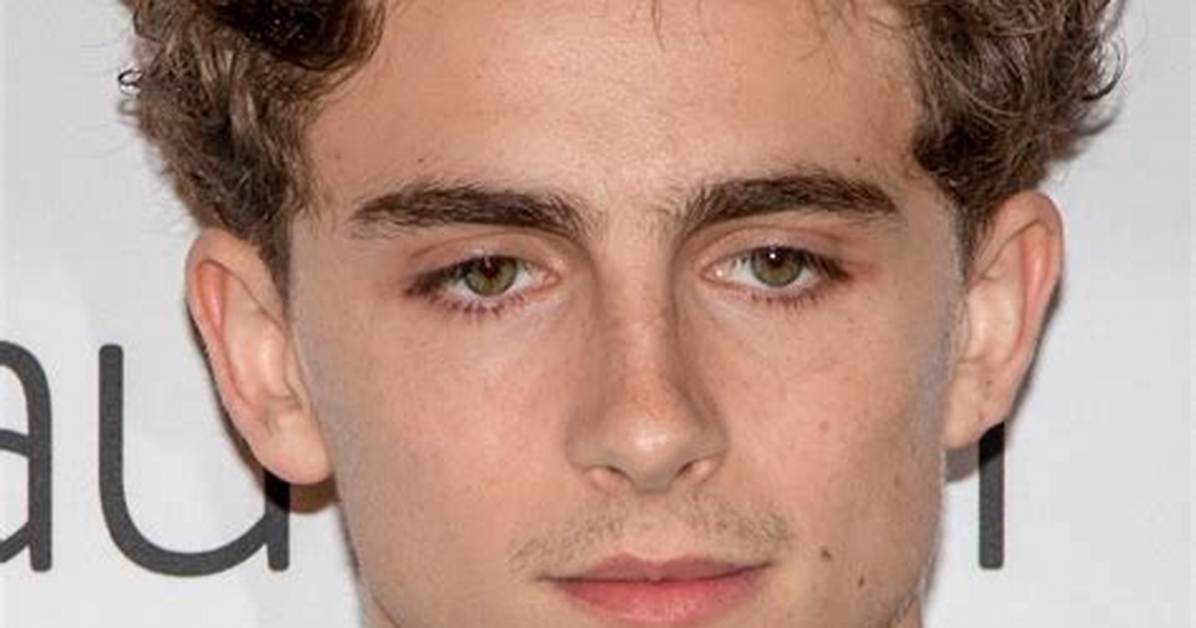 Timoth%C3%A9E Chalamet Actor Wiki Bio Age Height 1200. Jpg