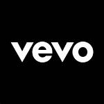 Vevo Net Worth