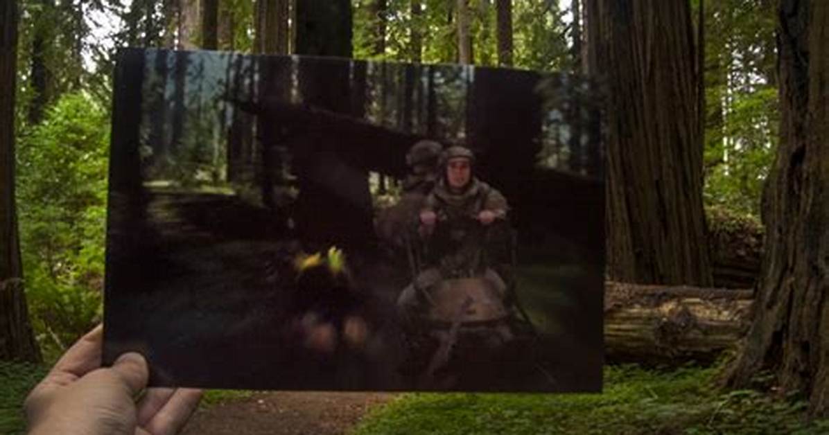 Was Star Wars Filmed in Muir Woods