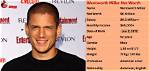 Wentworth Miller Net Worth, Income, Salary, Earnings, Biography