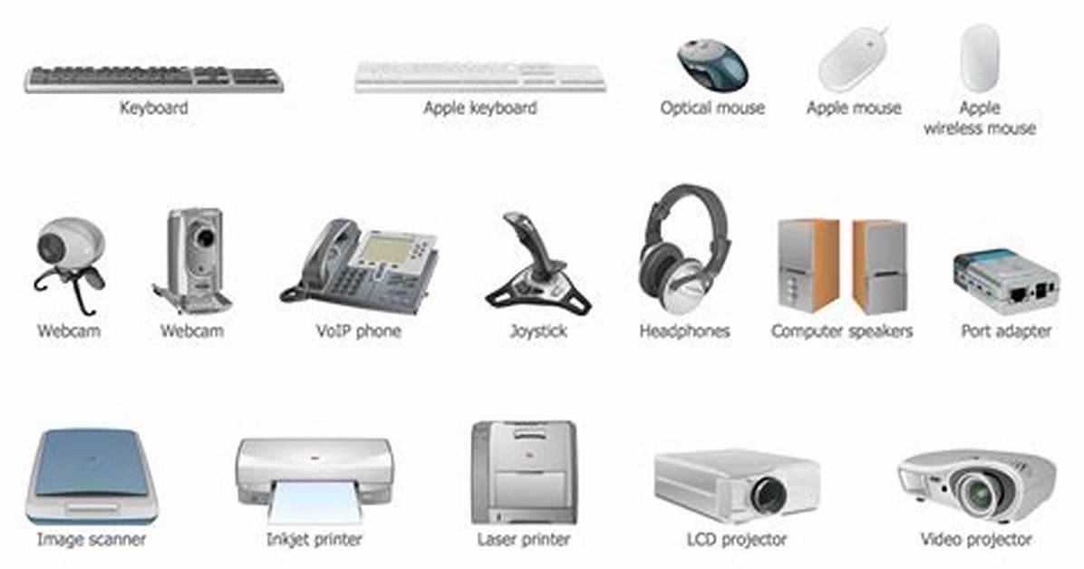 What Are the Hardware and Peripheral Devices