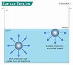 What Causes the Surface Tension That Allows a Paperclip to Float on Water