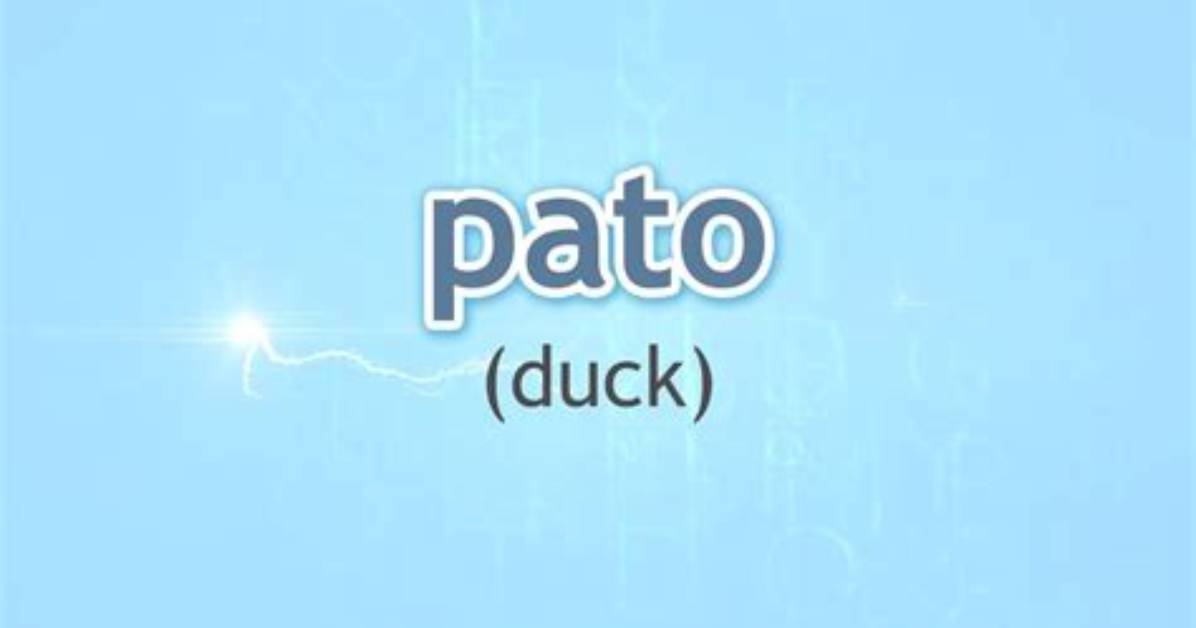 What Does Pato Mean in Mexico