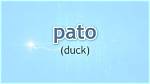 What Does Pato Mean in Mexico