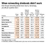 What Does Reinvest Dividends Mean