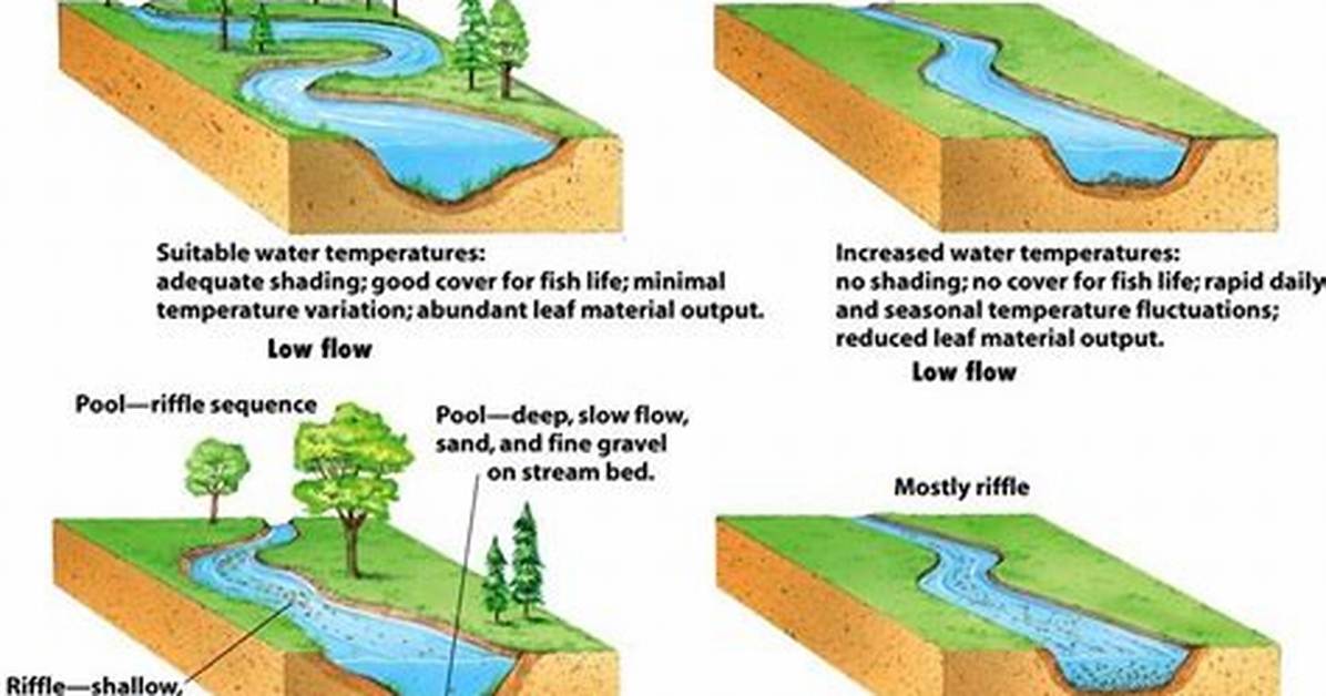 What Does River Channel Mean