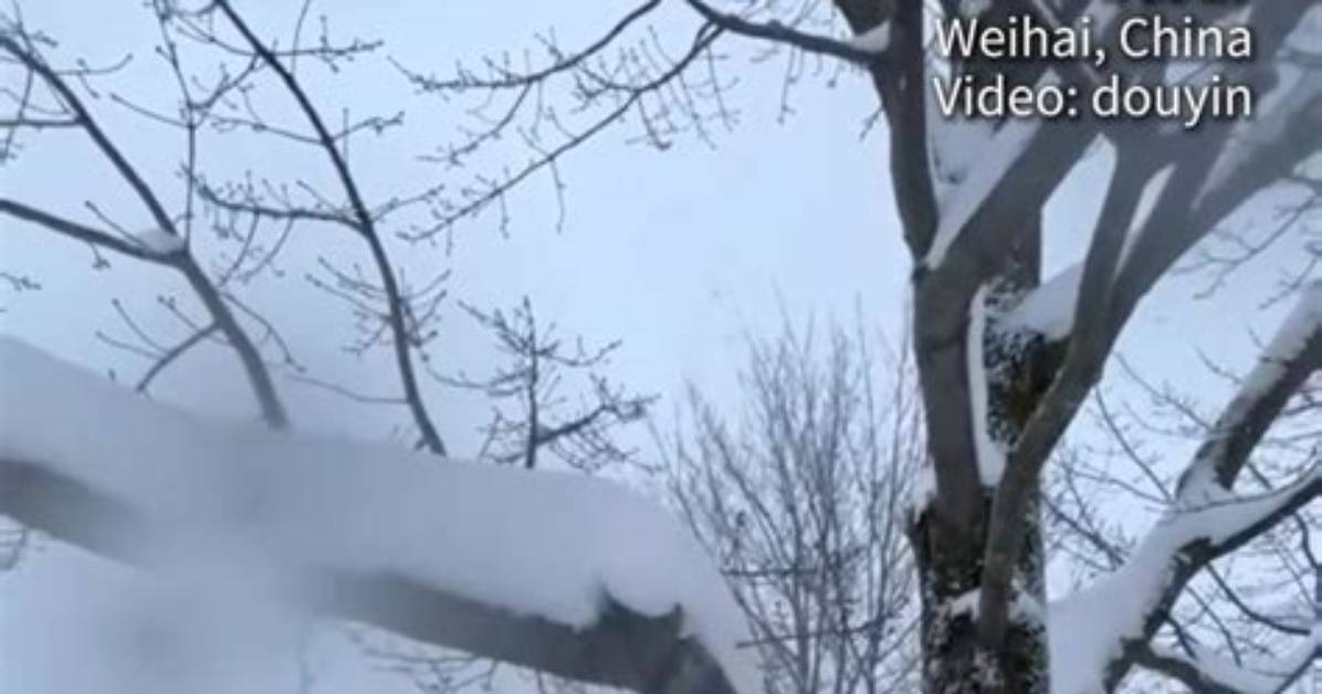 What Does the First Snow Mean in Korean