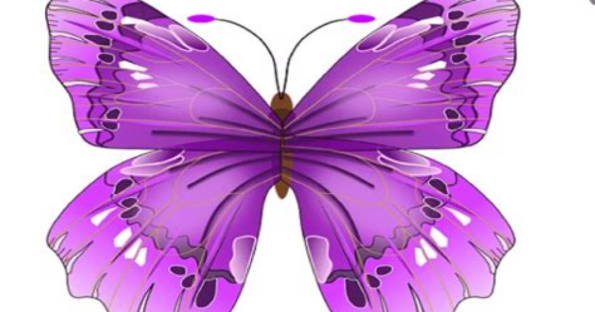 What Does the Purple Butterfly Meme Mean Explained?