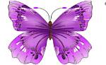 What Does the Purple Butterfly Meme Mean Explained?