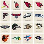 What Football Team Has a Bird Logo