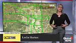 What Happened to Leslie Horton on Global News?