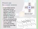 What Is a Primary Bonding