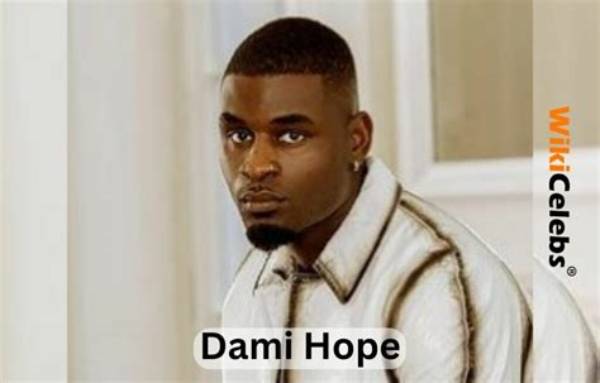 What Is Dami Hope Ethnicity? the Senior Microbiologist from Dublin Is on Love Island