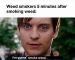 What Is I Just Smoke My Weed Tiktok Song? New Trend Goes Viral as Fans Search for Its Lyrics and Original Track