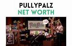 What Is Pullypalz Net Worth? Shark Tank Update