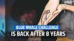 What Is the Blue Whale Challenge Tiktok – Trend by Jonathan Galindo