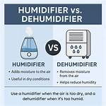 What Is the Difference Between a Humidifier and a Diffuser