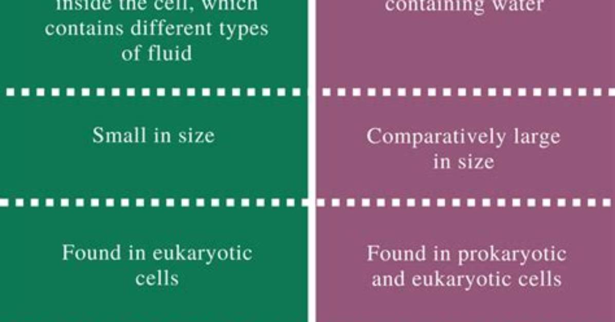 What Is the Difference Between Vesicle and Vacuole