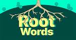 What Is the Root Word of Illuminate