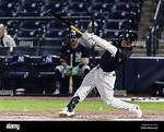 Who Are Andrew Velazquez Parents? Baseball Infielder Family Background Explored