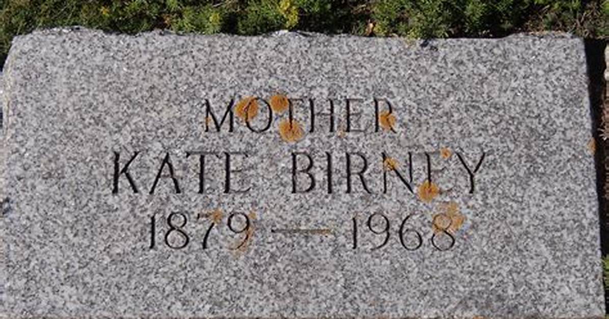 Who Are Mollie Kate & Peter Birney? Details We Know About David Birney Children
