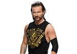 Who Is Adam Cole Wife? Wwe Wrestler Love Life Explored