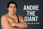 Who Is Andre the Giant? See Net-Worth, Quote, Awards, Fact, Wiki