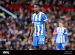 Who Is Brighton & Hove Albion Forward Danny Welbeck Brother Chris Welbeck?